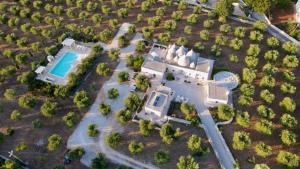 een luchtzicht op een herenhuis met een zwembad bij L'Uliveto in Cisternino