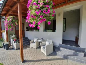Dlhá Ves的住宿－Apartments Sárika，庭院里摆放着椅子,树上种着粉红色的花朵