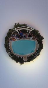 un groupe de personnes assises autour d'une piscine dans l'établissement L'Uliveto, à Cisternino