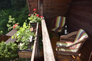 Zahrada ubytování Casa "Cabana Varciorog Arieseni"