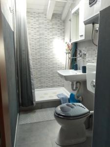 La salle de bains est pourvue de toilettes, d'un lavabo et d'une douche. dans l'établissement Apartman Garma, à Rovinj