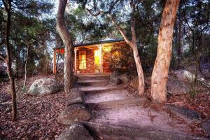 une maison dans les bois avec des escaliers menant à celle-ci dans l'établissement Honeysuckle Cottages, à Stanthorpe