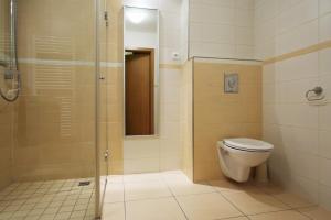 Kúpeľňa v ubytovaní Apartmány Čeladná