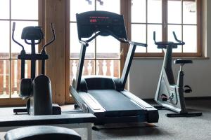 Fitness centrum a/nebo fitness zařízení v ubytování Hotel Silbertal