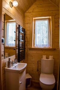 a bathroom with a toilet and a sink at Markowe Domki in Szczawnica +36 photos