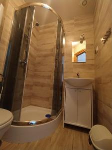 ブコビナ・タトシャンスカにあるPokoje Gościnne U Babuniのバスルーム(シャワー、洗面台、トイレ付)