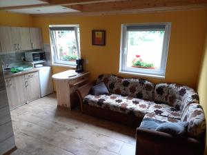 a living room with a couch and two windows at Agroturystyka pod świerkami in Ryn