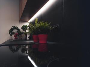 Zdjęcie z galerii obiektu Apartamenty Dworcowa 45 w mieście Gliwice