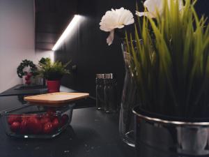 Zdjęcie z galerii obiektu Apartamenty Dworcowa 45 w mieście Gliwice