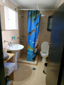 La salle de bains est pourvue de toilettes, d'un lavabo et d'un rideau de douche. dans l'établissement Theanos House, à Pigi