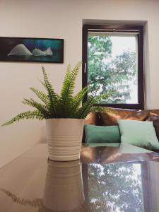 Część wypoczynkowa w obiekcie Apartamenty Dworcowa 45