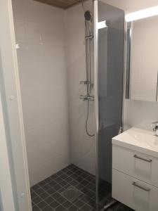a bathroom with a shower and a sink at Levi Ski-Star 220 in Levi