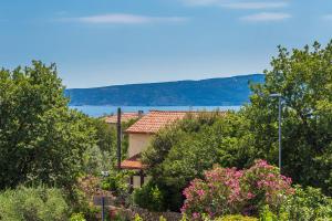 a house with a view of the water and trees at Apartments Krc in Pinezici