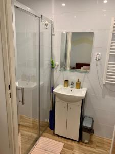a bathroom with a shower and a sink and a mirror at Apartamencik Centrum in Polanica-Zdrój