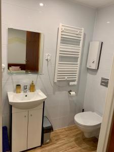 Kúpeľňa v ubytovaní Apartamencik Centrum