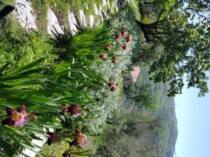 TrebianoにあるPietrantica - Affittacamere con giardino NUOVA APERTURA a Trebiano -CITRのギャラリーの写真