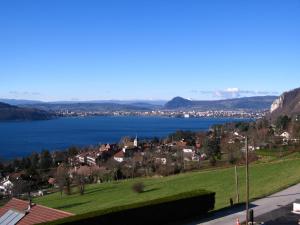 - une vue sur une ville dotée d'une grande étendue d'eau dans l'établissement Le Clos Du Lac - location de chambres, à Veyrier-du-Lac