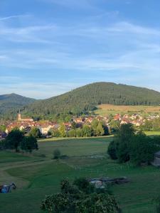 un campo verde con una ciudad y una montaña en Casa Blanca am Herzzentrum Lahr, en Lahr