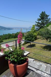 a flower pot sitting on a table with a view of the water at Le Clos Du Lac - location de chambres in Veyrier-du-Lac