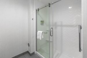 a shower with a glass door in a bathroom at Holiday Inn Greenville - Woodruff Road, an IHG Hotel in Greenville