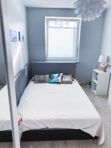 a bed in a bedroom with a blue wall at Słoneczne Tarasy by Marta in Dziwnówek