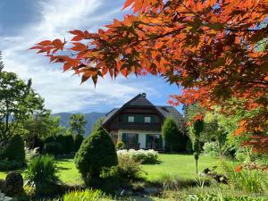 Příroda nedaleko penzionu