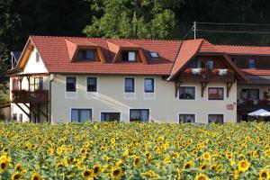 ein Haus inmitten eines Sonnenblumenfeldes in der Unterkunft Pension Persch in Völkermarkt