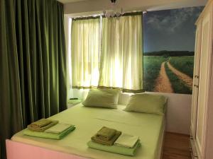 1 dormitorio con 1 cama con una pintura en la pared en City Apartment, en Ohrid