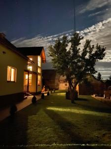 a house with a tree in a yard at night at Famíves vendégház in Racu