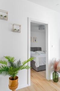 Posteľ alebo postele v izbe v ubytovaní Golden Luxury Apartment