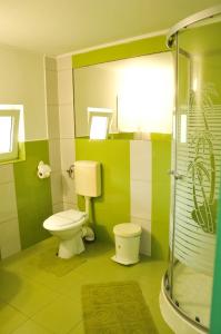 a green and white bathroom with a toilet and a shower at Pensiunea Ana Cristina in Sighişoara