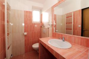 een badkamer met een wastafel, een toilet en een spiegel bij PENZION HŮRKA in Dolní Libchavy