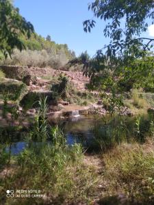 un arroyo en un campo con rocas y árboles en Casa Vall de Almonacid, en Vall d'Almonesir (Vall de Almonacid)