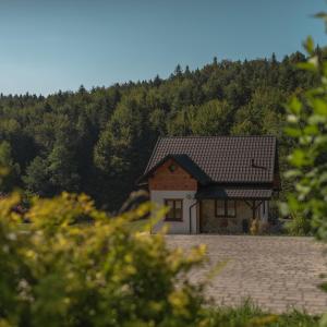 een huis met een leistenen dak op een berg bij WANATÓWKA in Korczyna