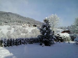 Appartement Pension Grasser v zime
