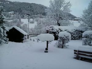 Appartement Pension Grasser v zime