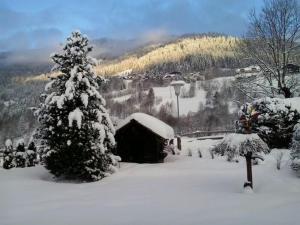 Appartement Pension Grasser v zime