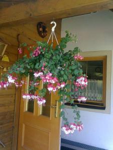Fotografia z galérie ubytovania Appartement Pension Grasser v destinácii Bad Kleinkirchheim