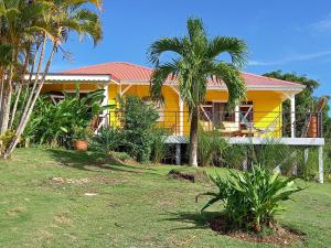 a yellow house with palm trees in front of it at HABITATION BIOCHE in Saint-Louis