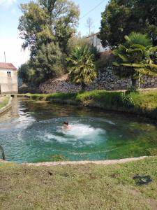 a person swimming in a pool of water at Quinta de São João in Poios