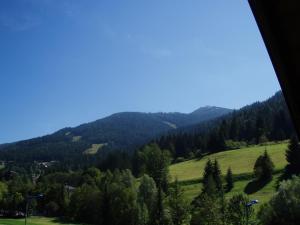 Elle offre une vue sur une vallée avec des arbres et des montagnes. dans l'établissement Appartement Pension Grasser, à Bad Kleinkirchheim
