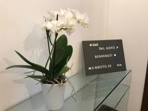 Fotografie z fotogalerie ubytování B&B dal Giotu v destinaci Gravellona