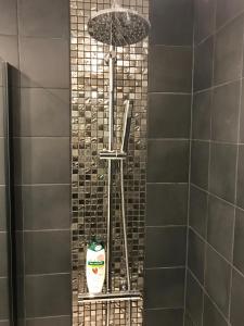- une douche avec une étagère et une bouteille de nettoyant dans l'établissement EL COCOONING - Apt entier WiFi Centre-Ville Proche Basilique, à Lisieux