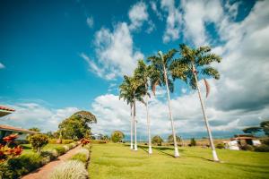 Сад в Hotel Arrayanes del Quindío
