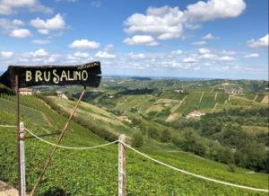 Ảnh trong thư viện ảnh của Agriturismo Brusalino ở Mango