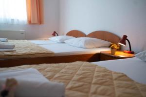 Gallery image of Villa Millenium in Neum