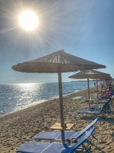 Príroda v okolí apartmánu