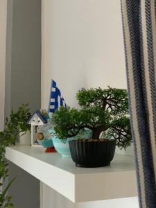 Fotografia z galérie ubytovania Lucas Lux Flogita apartment v destinácii Flogita