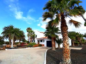 a palm tree in front of a house at Los Fondos in Costa Del Silencio