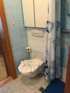 Kúpeľňa v ubytovaní Kleine Ferienwohnung am Rande der Wildnis